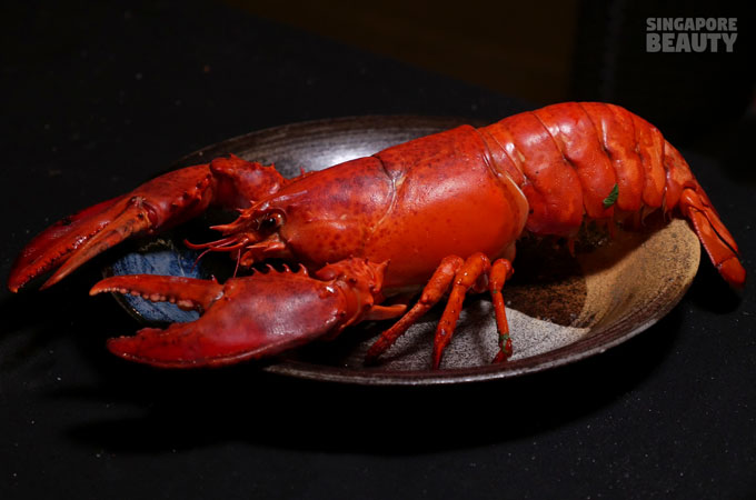 live-boston-lobster