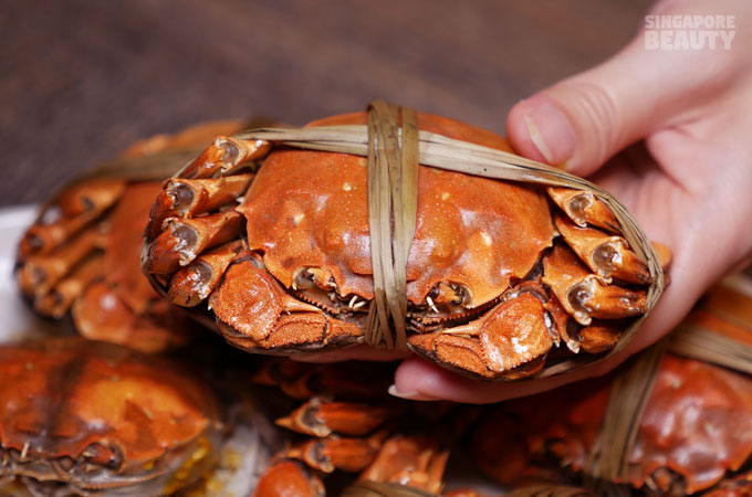 new-thai-tanic-hairy-crab