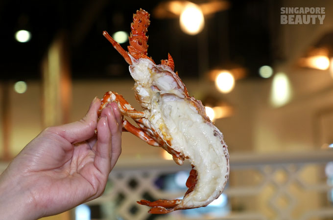 yu-pin-steamed-seafood-live-lobster