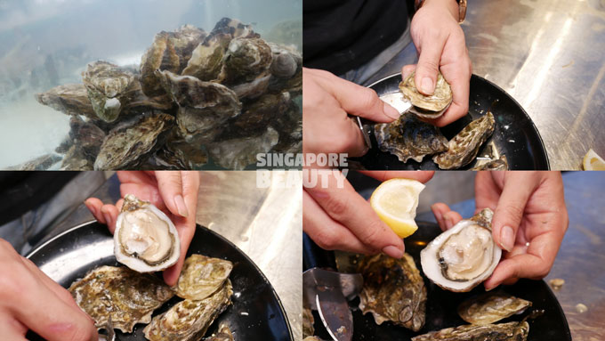 live-station-oyster