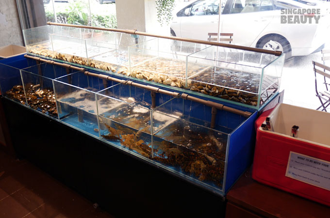 Live Seafood Tank