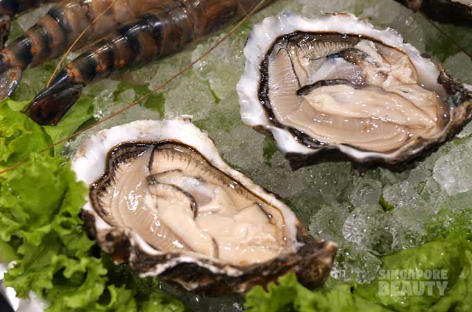 live oysters