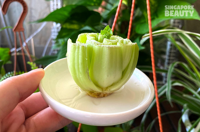 bok-choy-cutting