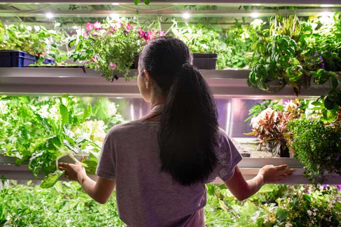 self-sustainability greenhouse