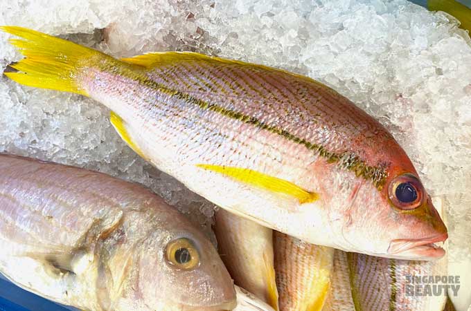 yellow fin snapper