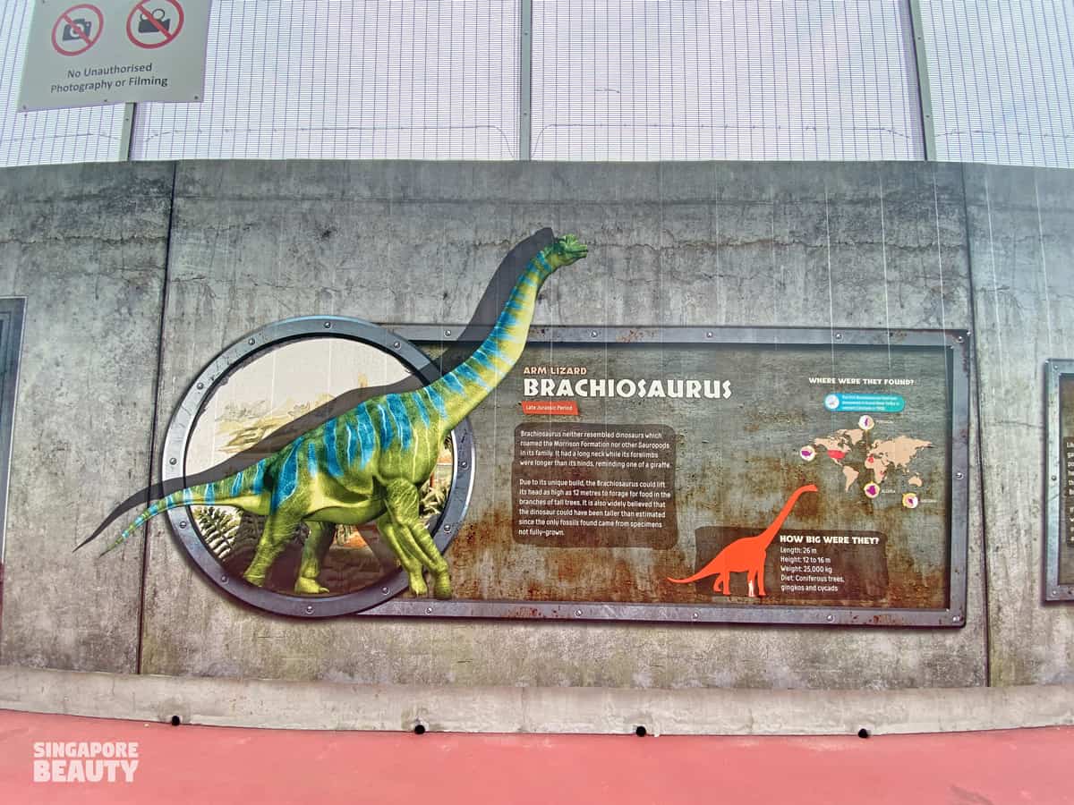 brachiosaurus herbivorous dinosaur