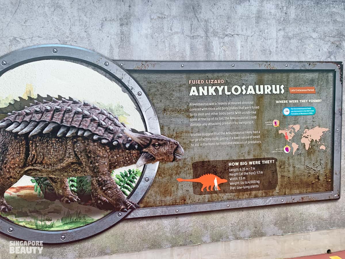 fun facts ankylosaurus herbivore dinosaur