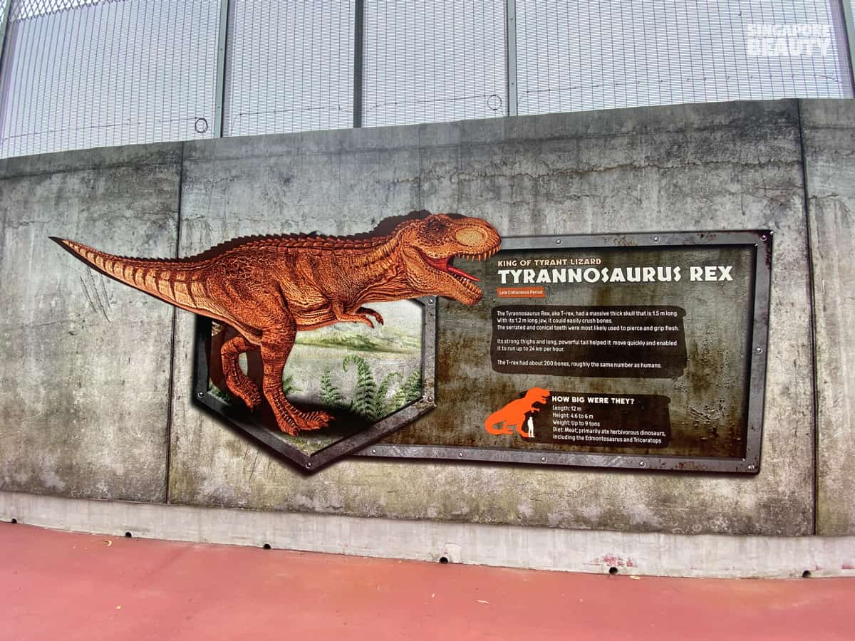 tyrannosaurus t rex fun fact king of tyrant lizard