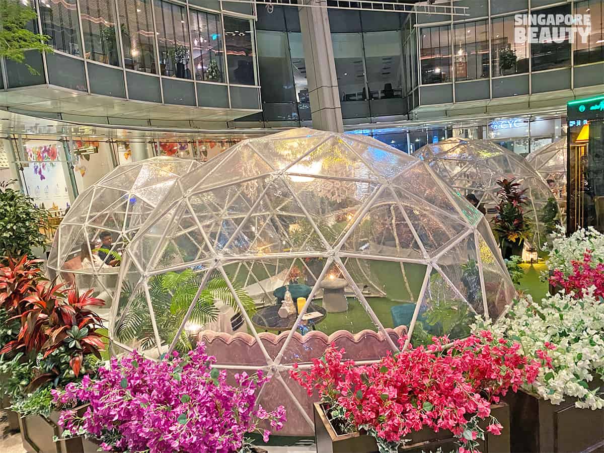 Dome Dining Experience At Capitol & Chijmes Singapore With Christmas