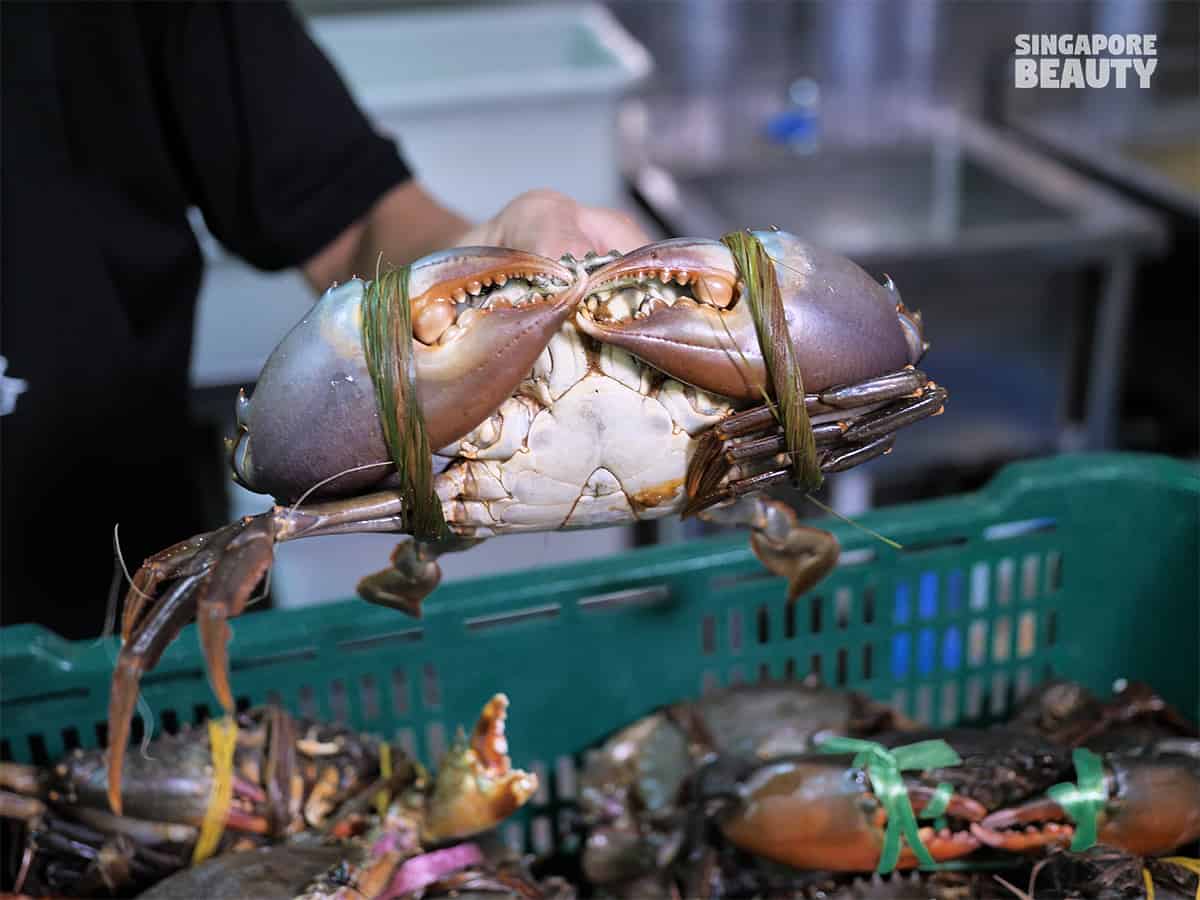 BBQ & hotpot mud crab buffet