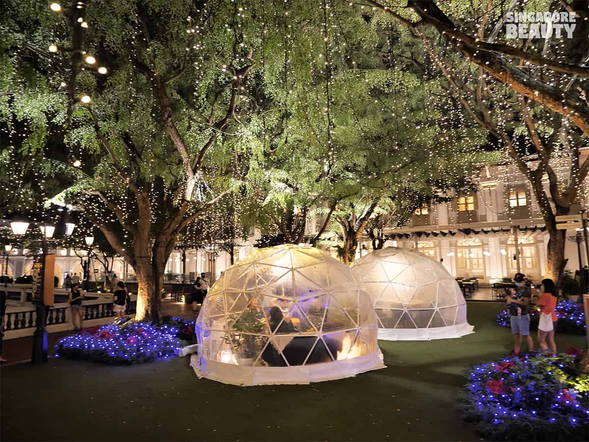 Dome Dining Experience At Capitol &amp; Chijmes Singapore With Christmas