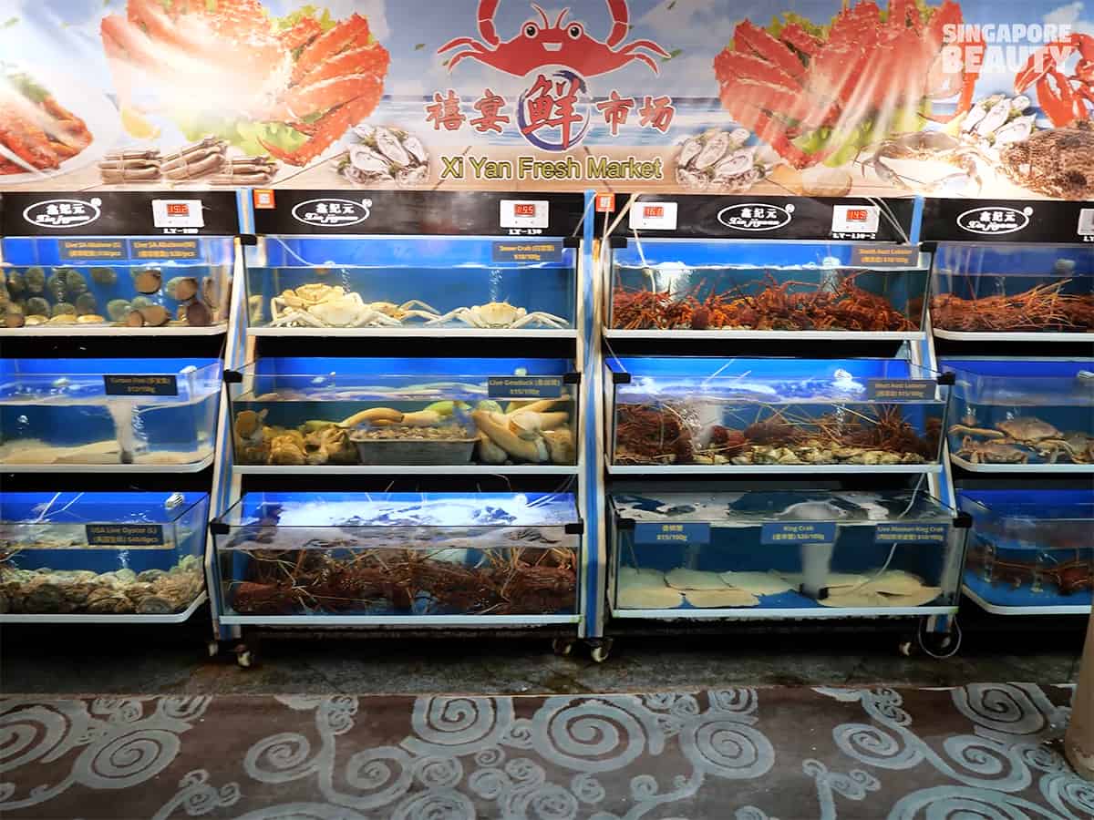 Xi Yan Seafood Restaurant Singapore Most Epic Live Seafood Hideout In The West With 20% Off - SingaporeBeauty