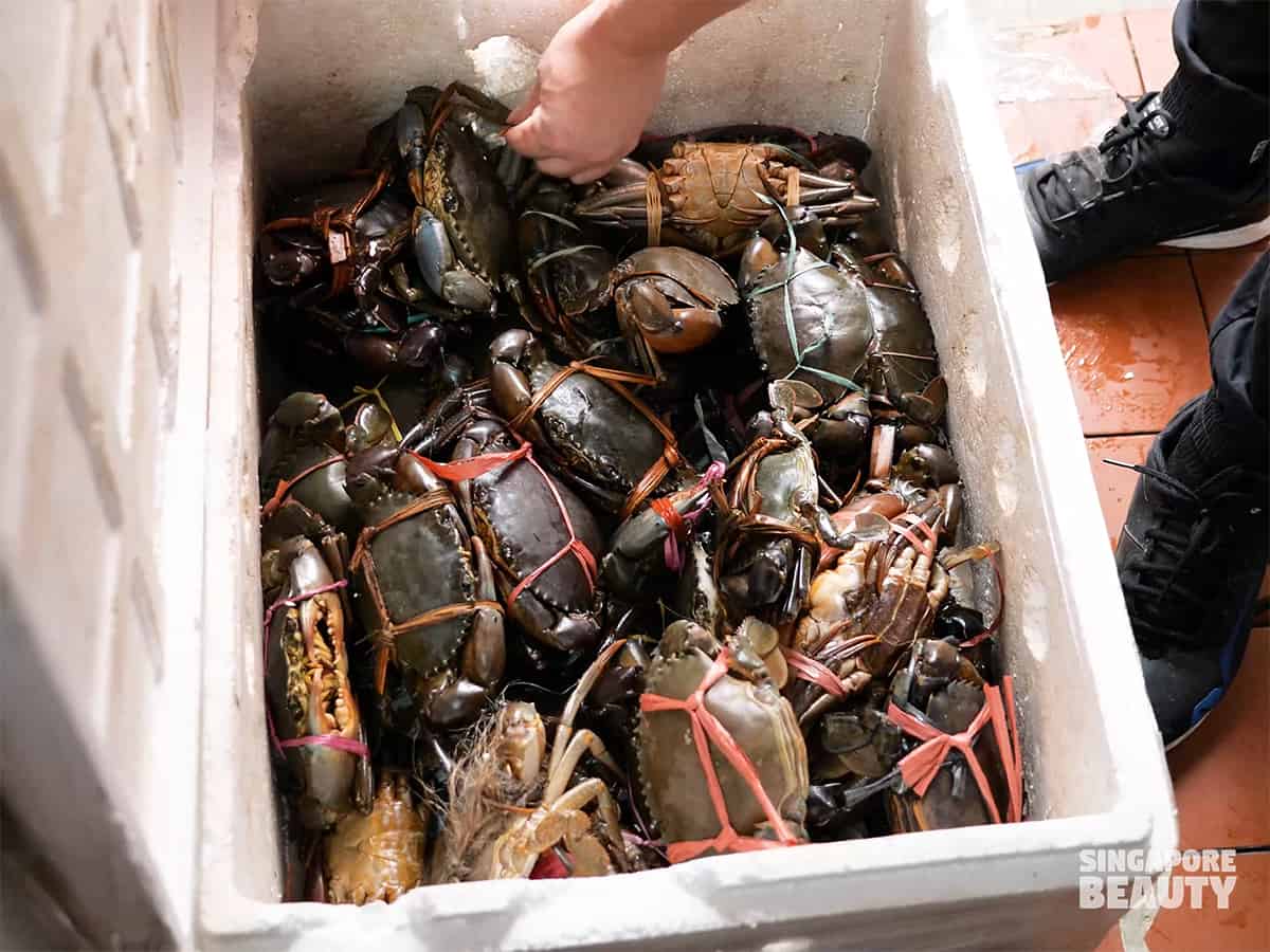 live crab hotpot buffet bugis