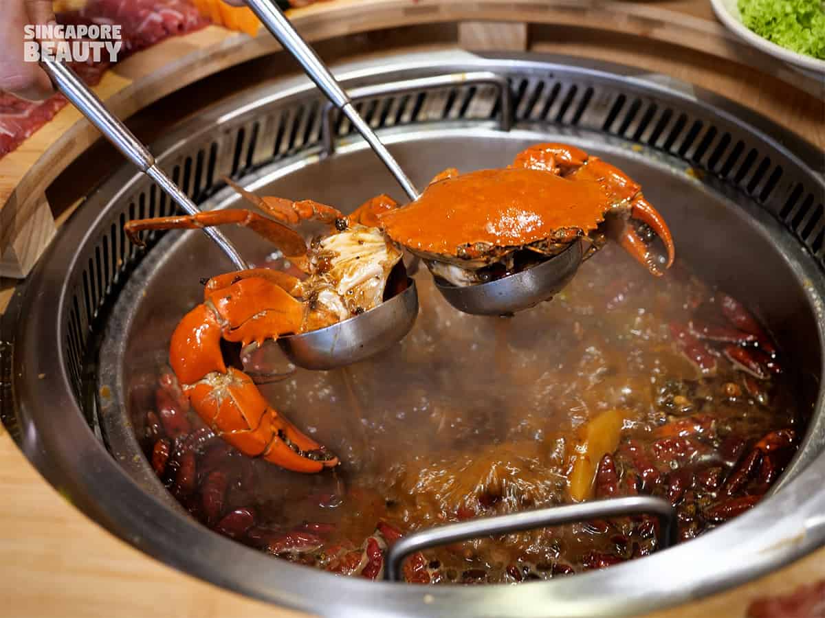 live crab hotpot