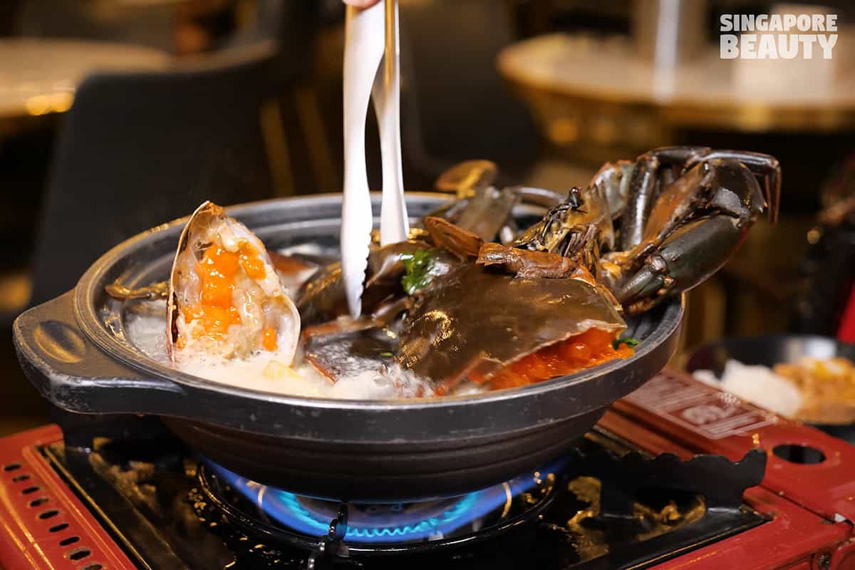 mud-crab-hotpot